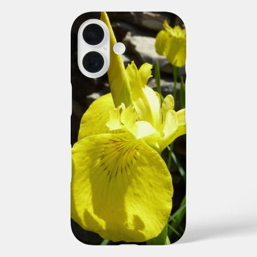 Gele Irissen Helder Lentebloemstuk Case-Mate iPhone Case (Achterkant)