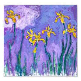 Gele irissen met roze wolk | Claude Monet | Foto Afdruk