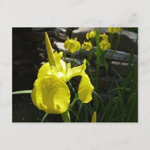 Gele Istees Bright Spring Floral Briefkaart