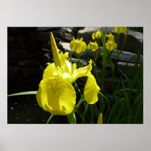 Gele Istees Bright Spring Floral Poster