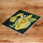 Gele Japanse Iris Floral Tegeltje<br><div class="desc">Keramische tegel die het foto-afbeelding van een geel Japans Iris-blok bevat. Een mooi,  bloemetjesontwerp! Selecteer de grootte van uw tegel. Maakt een  keukentochtje!</div>