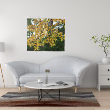 Gele Japanse mazelen laten foto