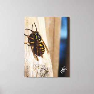 Gele jas in Freeland Canvas Afdruk