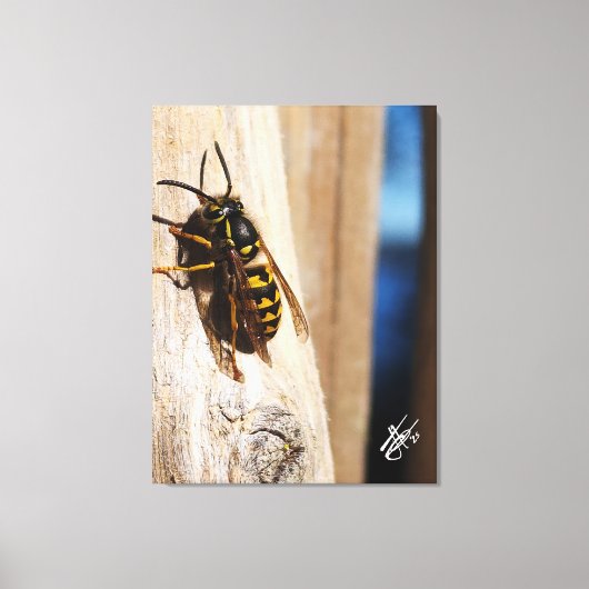Gele jas in Freeland Canvas Afdruk (Voorkant)