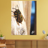 Gele jas in Freeland Canvas Afdruk (Insitu (Woonkamer))