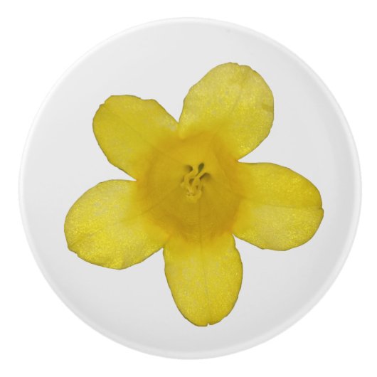 Gele Jasmin Keramische Knop (Voorkant)