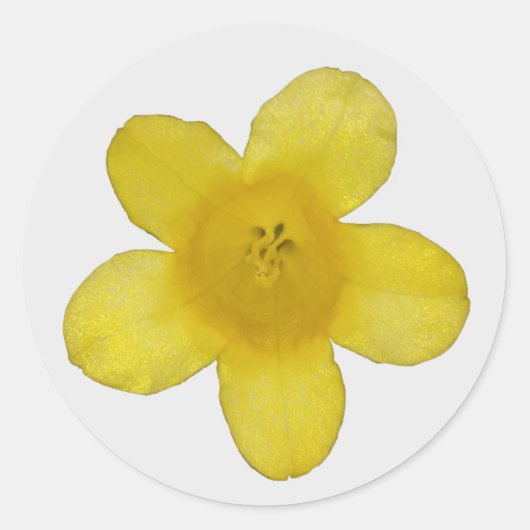 Gele Jasminestickers Ronde Sticker (Voorkant)