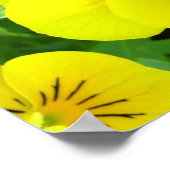 Gele Johnny Jump Up Poster Print (Hoek)