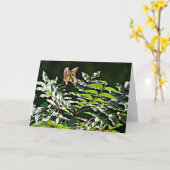 Gele Kaart van de Schrift van de Zwemelstaart Jame (Gele Bloem)