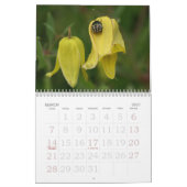 gele kalender voor 2013 (Mar 2027)