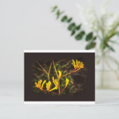 Gele kangaroo Paw-bloem Briefkaart (Staand voorkant)