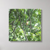 Gele kardinaal canvas afdruk (Voorkant)