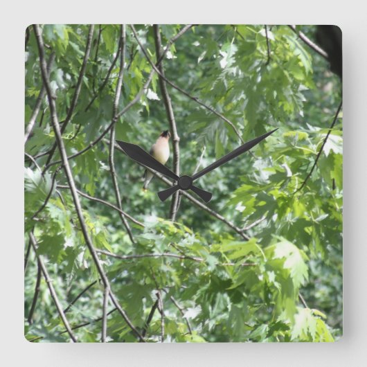 Gele kardinaal vierkante klok (Voorkant)