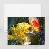 Gele karperkoi en goudvis op het wateroppervlak feestdagenkaart (Voorkant / Achterkant)