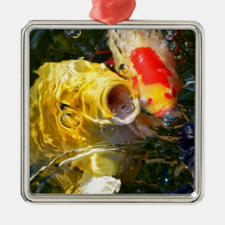 Gele karperkoi en goudvis op het wateroppervlak metalen ornament