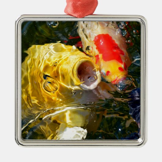 Gele karperkoi en goudvis op het wateroppervlak metalen ornament (Voorkant)