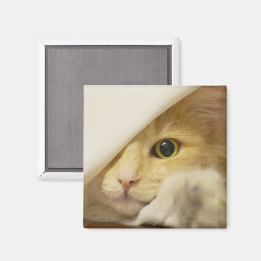 Gele Kat Die Uit Piept Magneet (Voorkant / Achterkant)