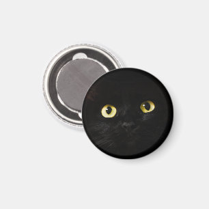 Gele Kattenogen, Zwarte Kat, Zwarte Achtergrond Magneet