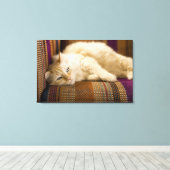 gele kattenpoot op de bank. canvas afdruk (Insitu (Houten vloer))