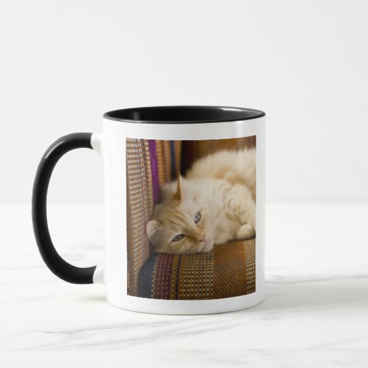  gele kattenpoot op de bank. mok (Links)