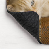  gele kattenpoot op de bank. muismat (Hoek)