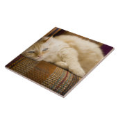  gele kattenpoot op de bank. tegeltje (Zijkant)