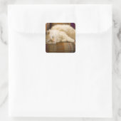 gele kattenpoot op de bank. vierkante sticker (Tas)