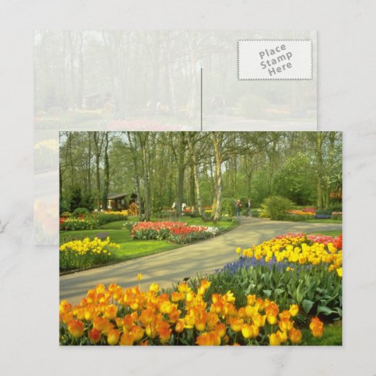 gele Keukenhof Tudens bij Haarlem, Nederland Briefkaart (Voorkant / Achterkant)