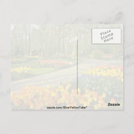 gele Keukenhof Tudens bij Haarlem, Nederland Briefkaart (Achterkant)