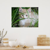 Gele keuten in Tall Grass Poster (Keuken)