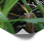 Gele keuten in Tall Grass Poster (Hoek)