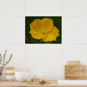 Gele Klaproos Alaskaanse Wilde Bloem Poster (Keuken)