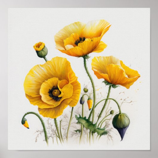 Gele klaproosbloemen kunstprint poster (Voorkant)