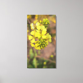 gele kleine bloem lente flora collectie canvas afdruk