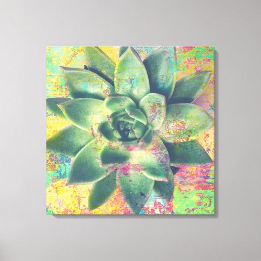 Gele kleurenpatches Succulent Canvas Art Afdruk (Voorkant)