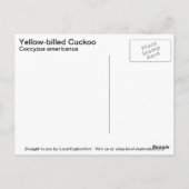 Gele koekoek briefkaart (Achterkant)