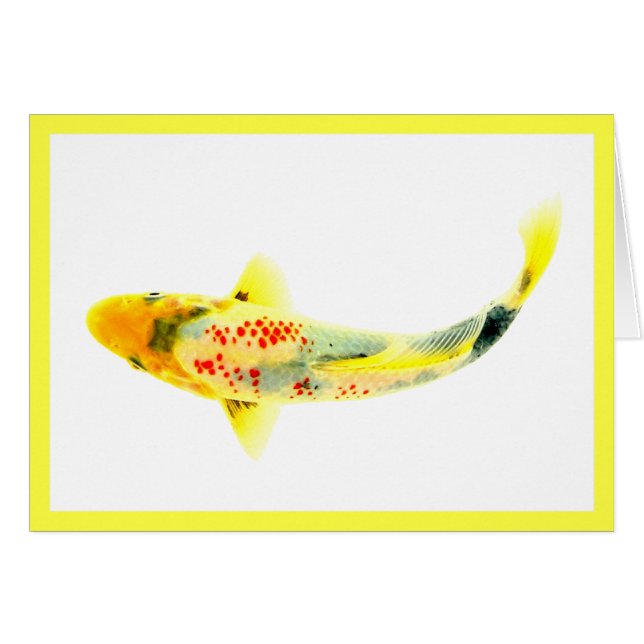 Gele Koi (Voorkant Horizontaal)