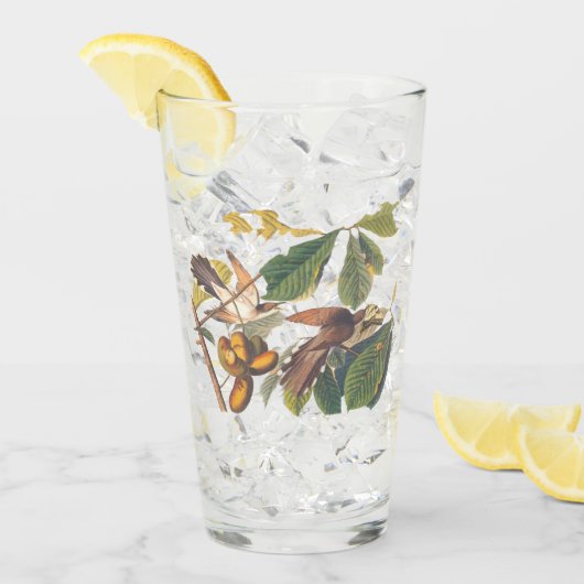 Gele komkommers van Audubon in de fruitboom Glas (Voorkant ijs)