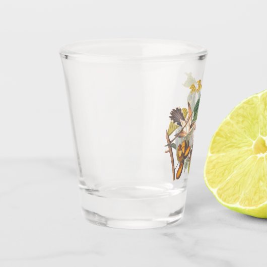 Gele komkommers van Audubon in de fruitboom Shot Glas (Links)