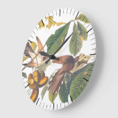 Gele komkommervogels in de fruitboom van Audubon Grote Klok (Hoek)