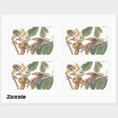 Gele komkommervogels in de fruitboom van Audubon Rechthoekige Sticker (Vel)