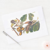 Gele komkommervogels in de fruitboom van Audubon Rechthoekige Sticker (Envelop)