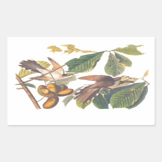 Gele komkommervogels in de fruitboom van Audubon Rechthoekige Sticker