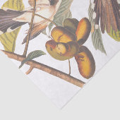 Gele komkommervogels in de fruitboom van Audubon Tissuepapier (Detail)