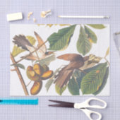 Gele komkommervogels in de fruitboom van Audubon Tissuepapier (Craft)