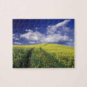 Gele koolzaad in Whitman County, staat Washington Legpuzzel