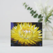 Gele kornbloem briefkaart (Staand voorkant)