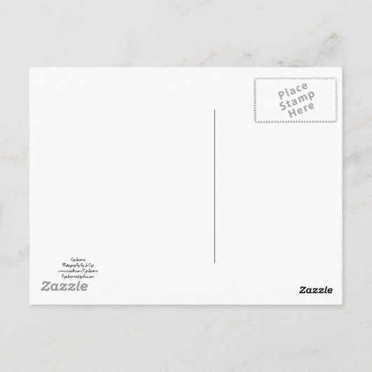 Gele kornbloem briefkaart (Achterkant)