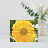Gele kosmo, gele maaltijd, gele bloem briefkaart (Staand voorkant)