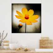 Gele kosmosbloem - fijn Poster (Keuken)